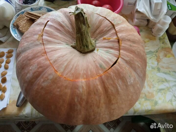 Семена тыквы и арбуза