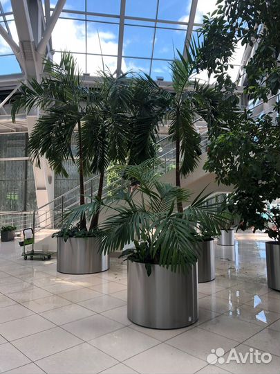 Озеленение и благоустройство территорий