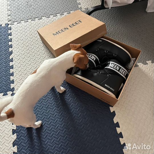 Moon boot мужские