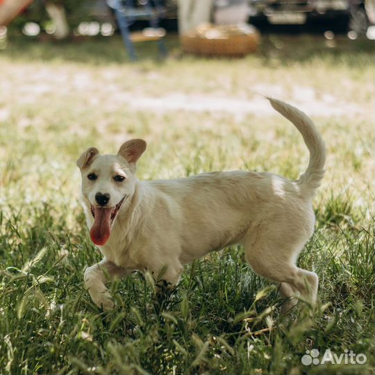 Маленькая Белочка с сердечком для любви