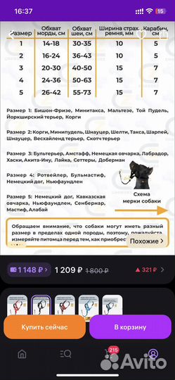 Недоуздок(халти)