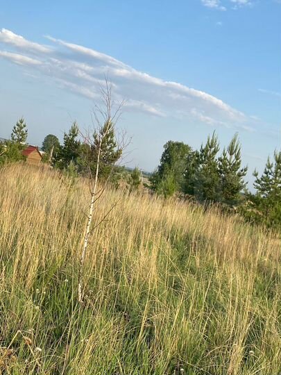 Участок 18 сот. (СНТ, ДНП)