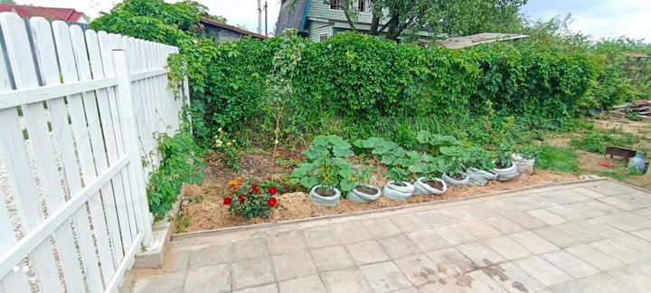 Участок 2 сот. (СНТ, ДНП)