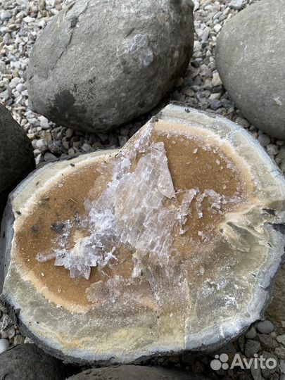 Камень Септария