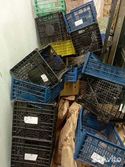 Пластиковые ящики для хранения овощей б/у