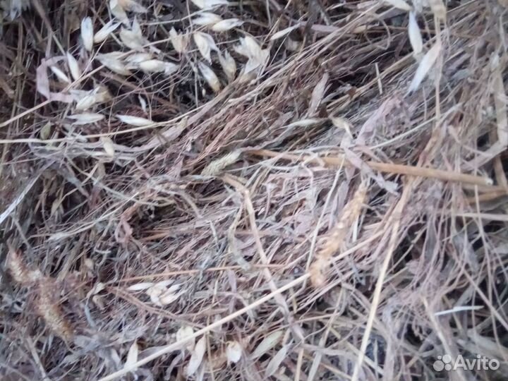 Сено-солома