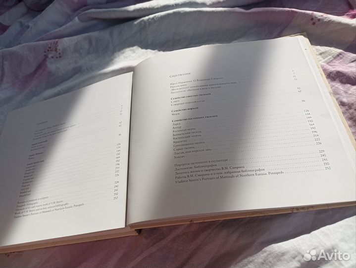 Иллюстрированная книга про животных, ластоногие