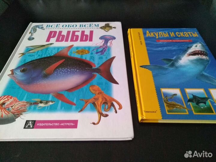 Детская инциклопедия все про рыбок