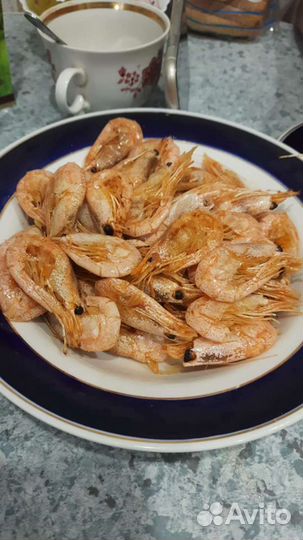 Креветка Северная