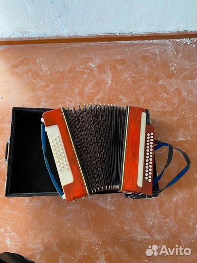 Баян беларусь и баян гула