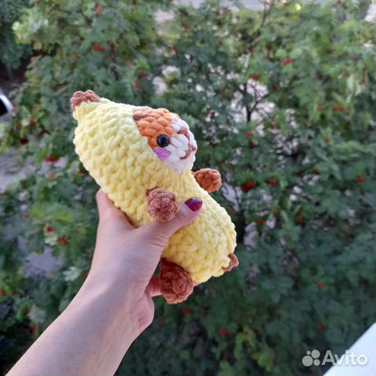 Кот в банане