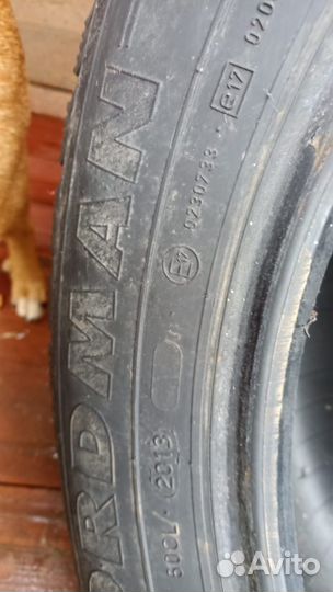 Nokian Tyres Nordman 4 205/60 R16 92T