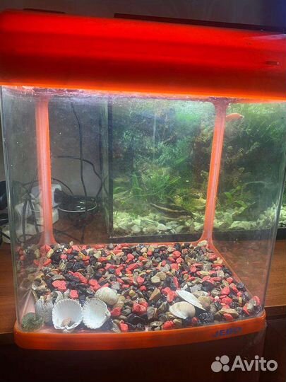 Аквариум Jebo 331