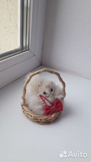 Поделка красивый котик