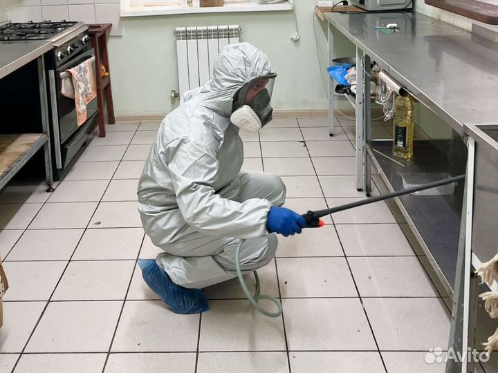 Дезинфекция. Уничтожение, травля, обработка