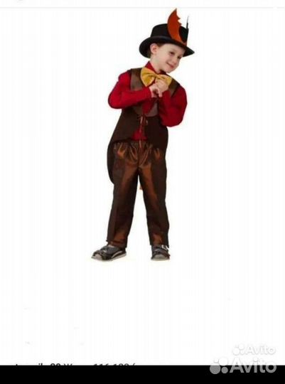 Костюмы жук, муравей