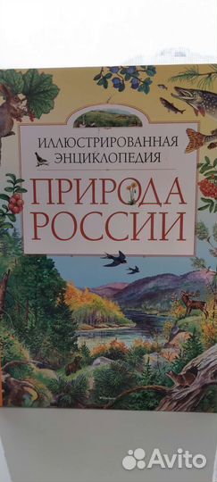Энциклопедия. Природа России