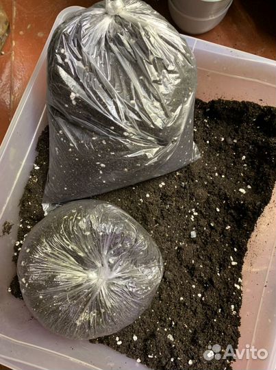 Грунт для комнатных цветов готовый универсальный