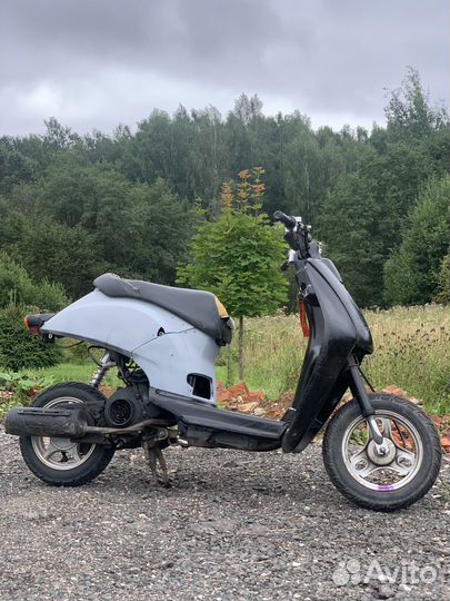 Honda af61