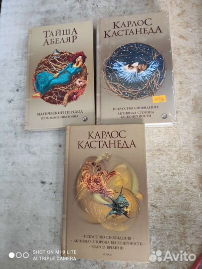 Книги Кастенеды, Рейнхарда
