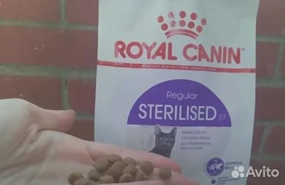 Корм сухой роял канин для кошек Royal canin regula