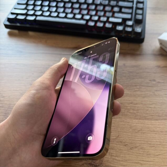 iPhone 13 Pro Max, 256 ГБ, SIM + eSIM