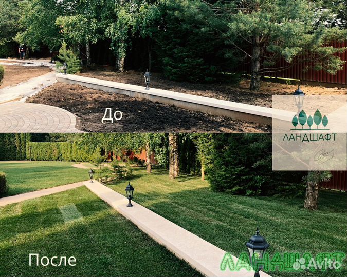 Премиум рулонный газон с укладкой Щелково