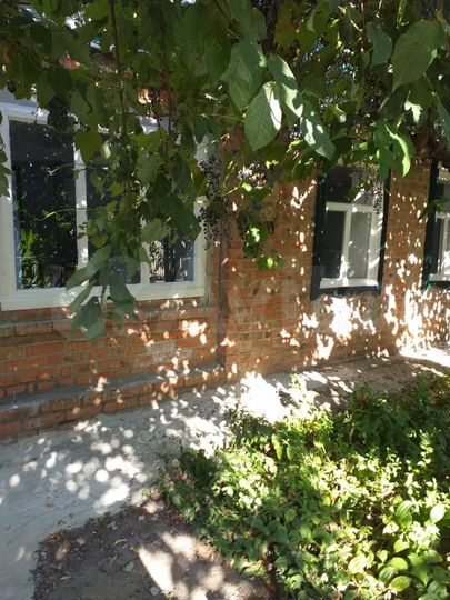 Дом 56 м² на участке 9 сот.