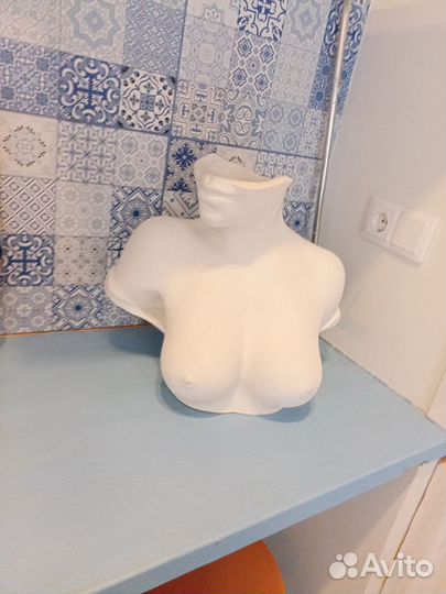 Женский бюст