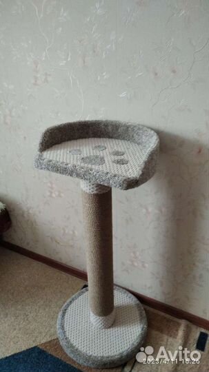 Когтеточка