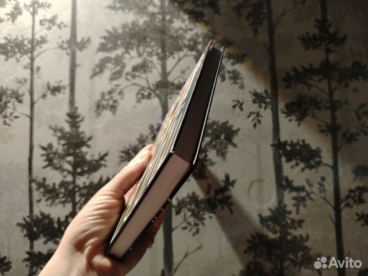 Антон Секисов. Бог тревоги