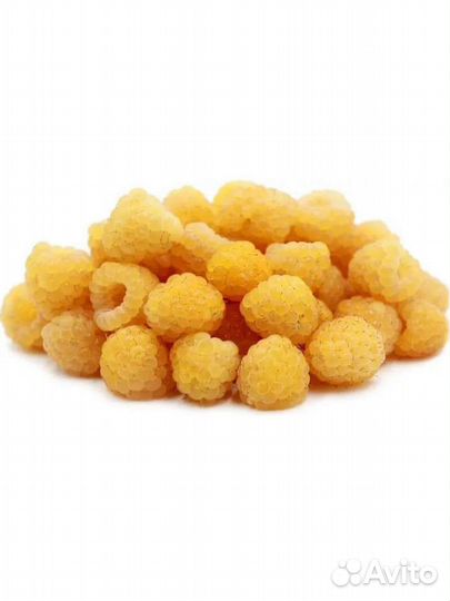 Малина (Жёлтый гигант) саженцы