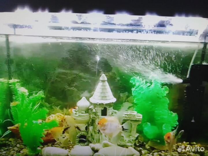 Продается аквариум