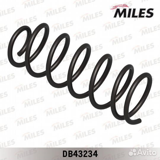 Задняя пружина