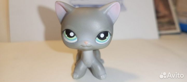 Кошка лпс