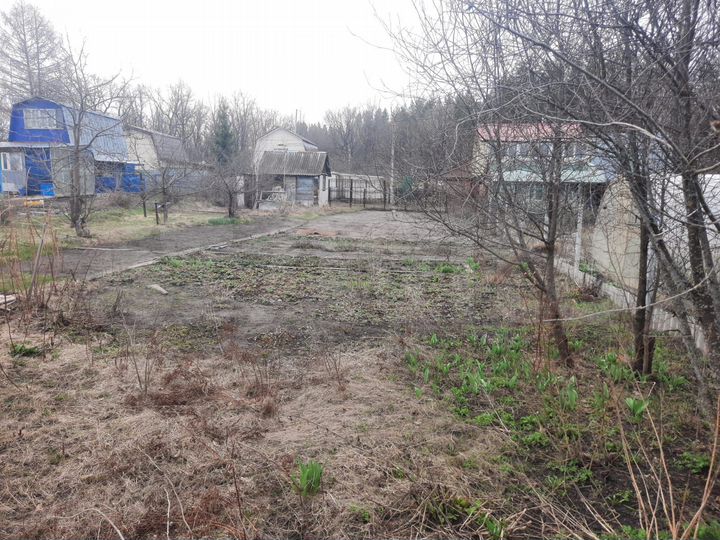 Участок 6 сот. (СНТ, ДНП)