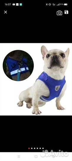 Светоотражающая шлейка и поводок