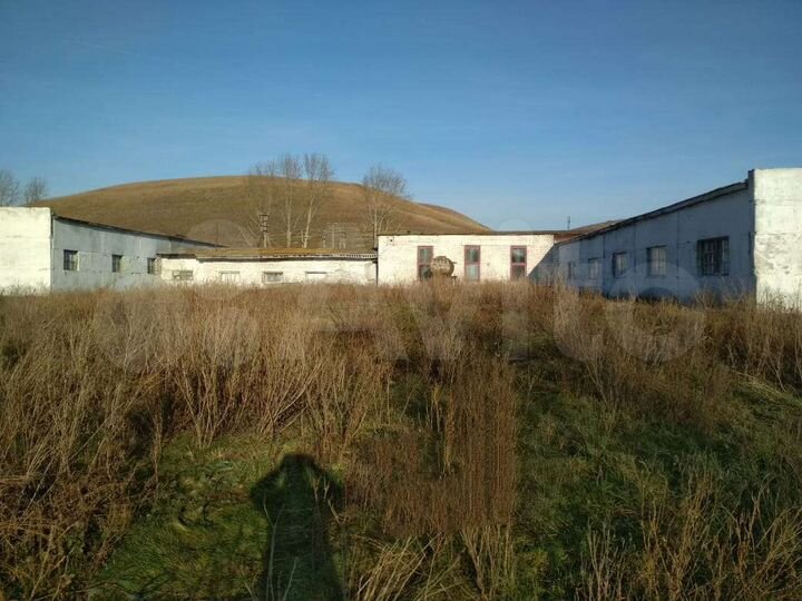 Свободного назначения, 8000 м²