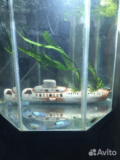 Аквариум с тумбой 100 литров