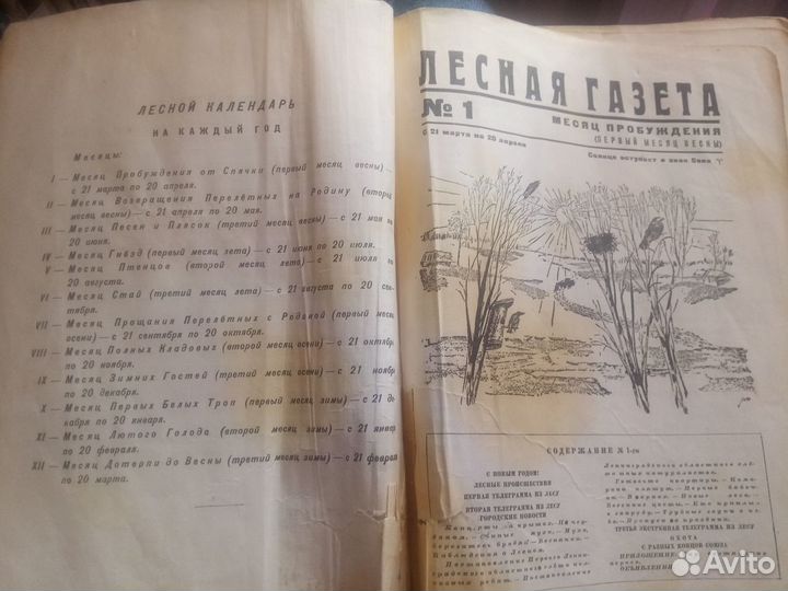 Раритет Книга В.Бианки 