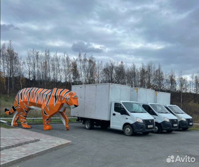 Грузоперевозки межгород СПб-Москва / Догруз