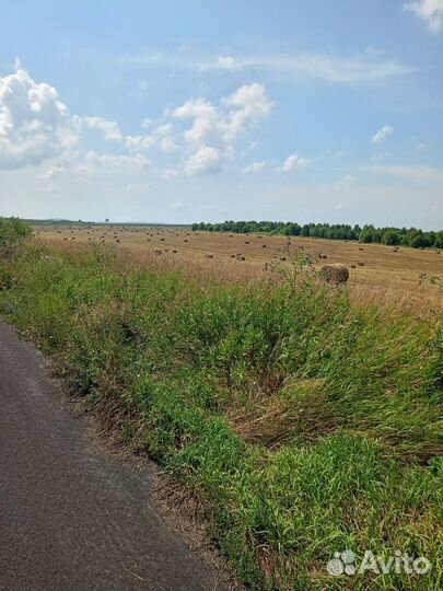Сено в тюках