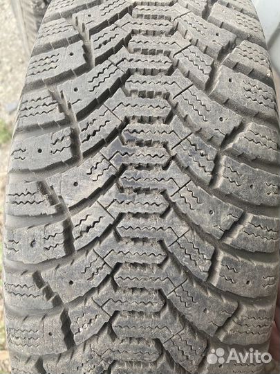 Cordiant Polar 185/60 R14