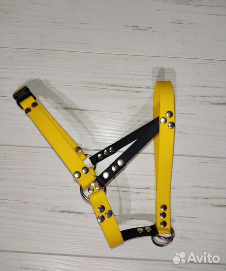 Амуниция для собак