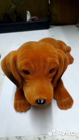 Качает головой собака в машину