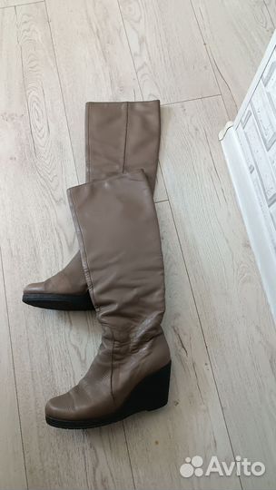 Сапоги женские натуральная кожа осень