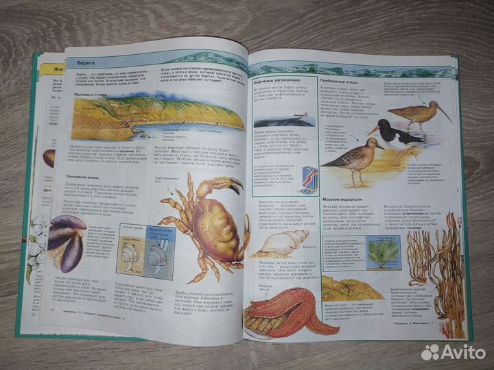 Детская энциклопедия 