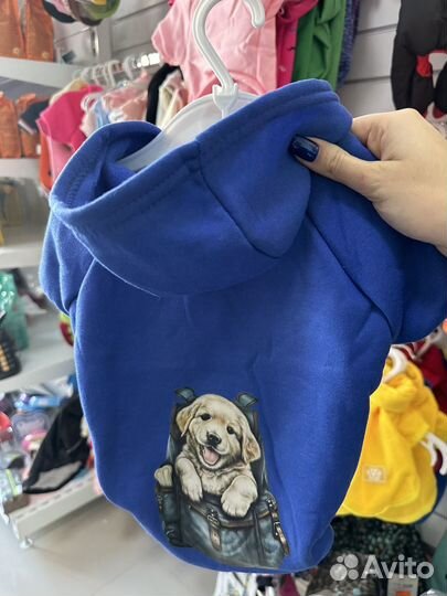 Одежда для собак