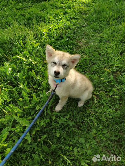 Мальчик и девочка