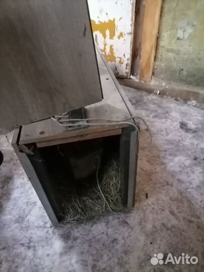 Ящик, переноска для подсадной утки